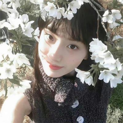 海华沙之兔